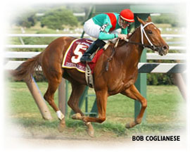 Cashier's Dream winning the Spinaway Stakes at Saratoga
