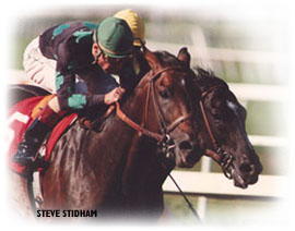 Prized takes the Swaps Stakes